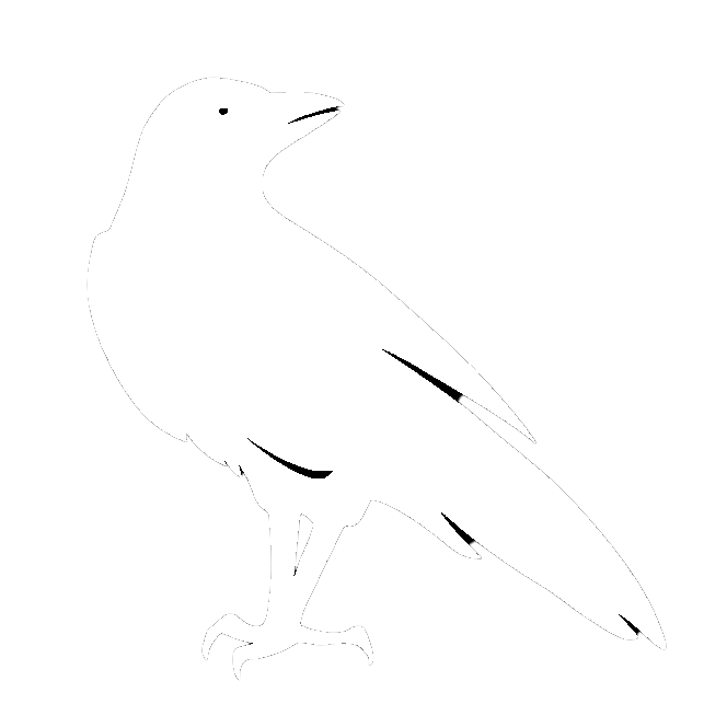 Raven